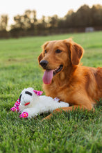 Load image into Gallery viewer, Valentine’S Day Plush Lamb Chop Dog Toy with Hearts, Medium