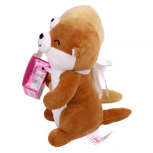 Load image into Gallery viewer, Frankford Valentine'S Day Otter Date Night Plush with Gummy  Hearts - 1Oz
