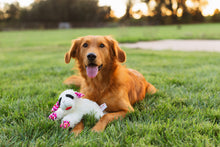 Load image into Gallery viewer, Valentine’S Day Plush Lamb Chop Dog Toy with Hearts, Medium
